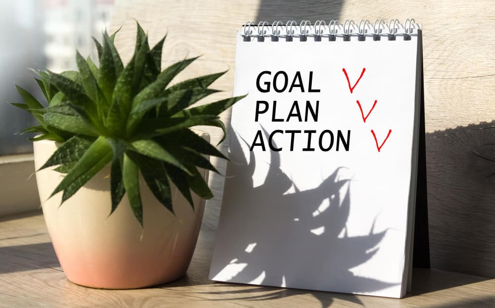 Goal plan action