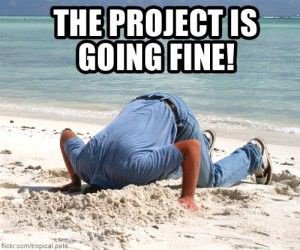 Project Management Memes