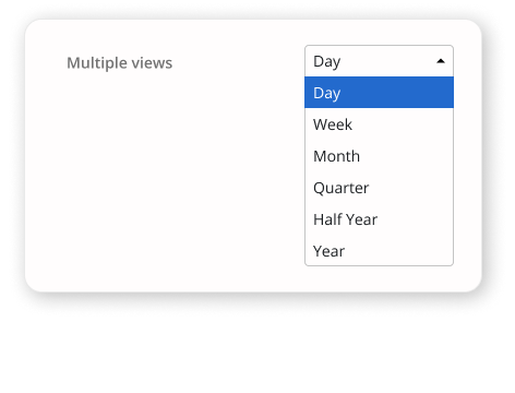 View report in days, weeks, months